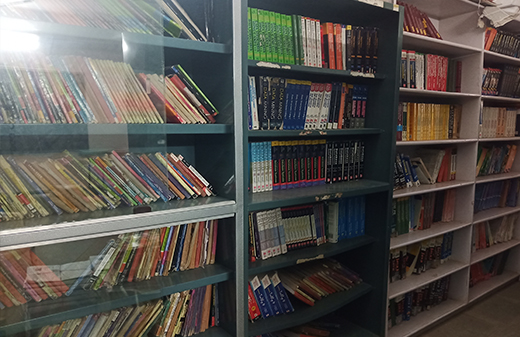 shriram-college-library